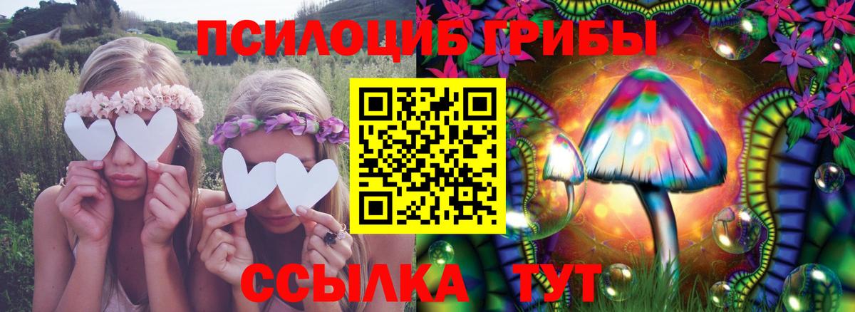 Галлюциногенные грибы Cubensis Волгоград
